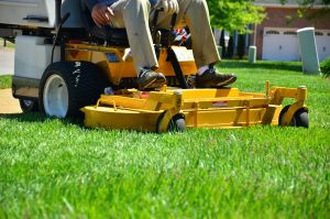 Green T Lawn Care, Lawn Fertilization, Weed Control, Grub and Insect Control, Aeration and Overseeding,