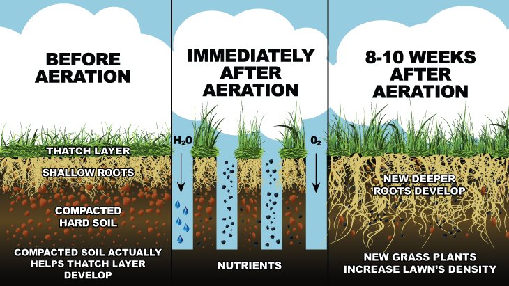 what is lawn aeration - Green Bee Lawn Care 