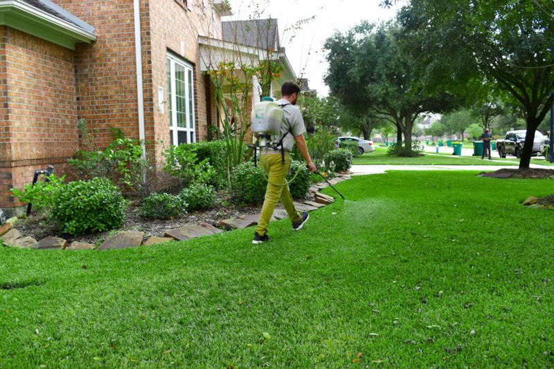 Green Bee Lawn Care