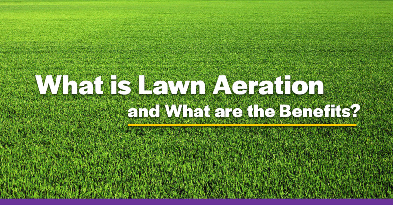 what is lawn aeration green bee lawn care