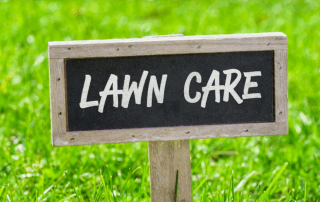 what is lawn treatment green bee lawn care