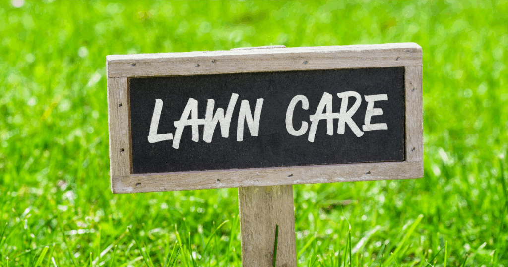 Zero Problems: Why a Zero Turn Lawn Mower is Your Best Bet for Lawn Care